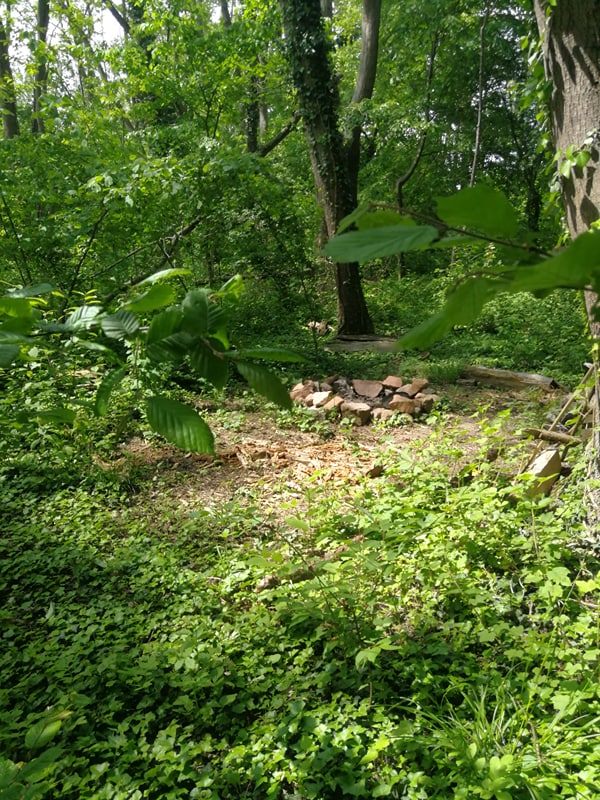 Feu de camp et Échange approfondi en forêt