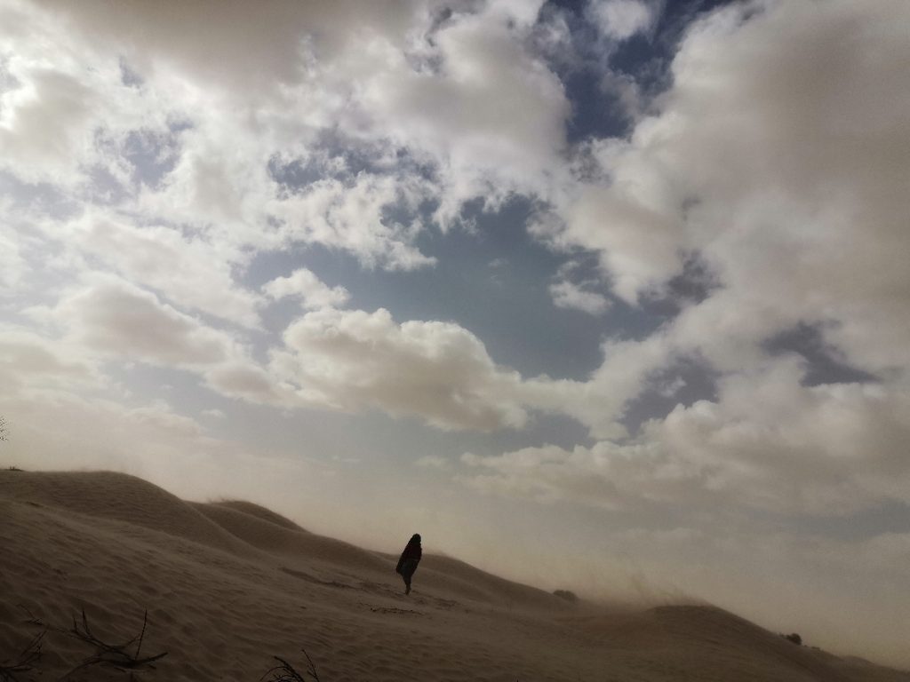 Une quête de Vision dans le Sahara avec Alexandre Poignard