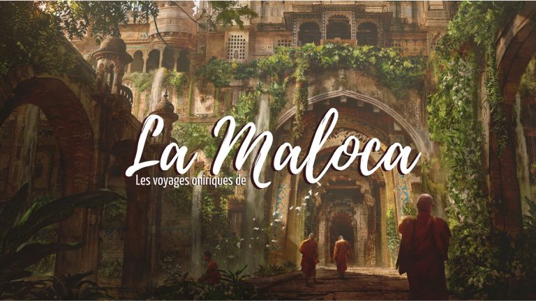 Lire la suite à propos de l’article Les Voyages Oniriques de la Maloca