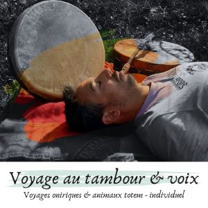 Lire la suite à propos de l’article Voyages oniriques & animaux totem – individuel