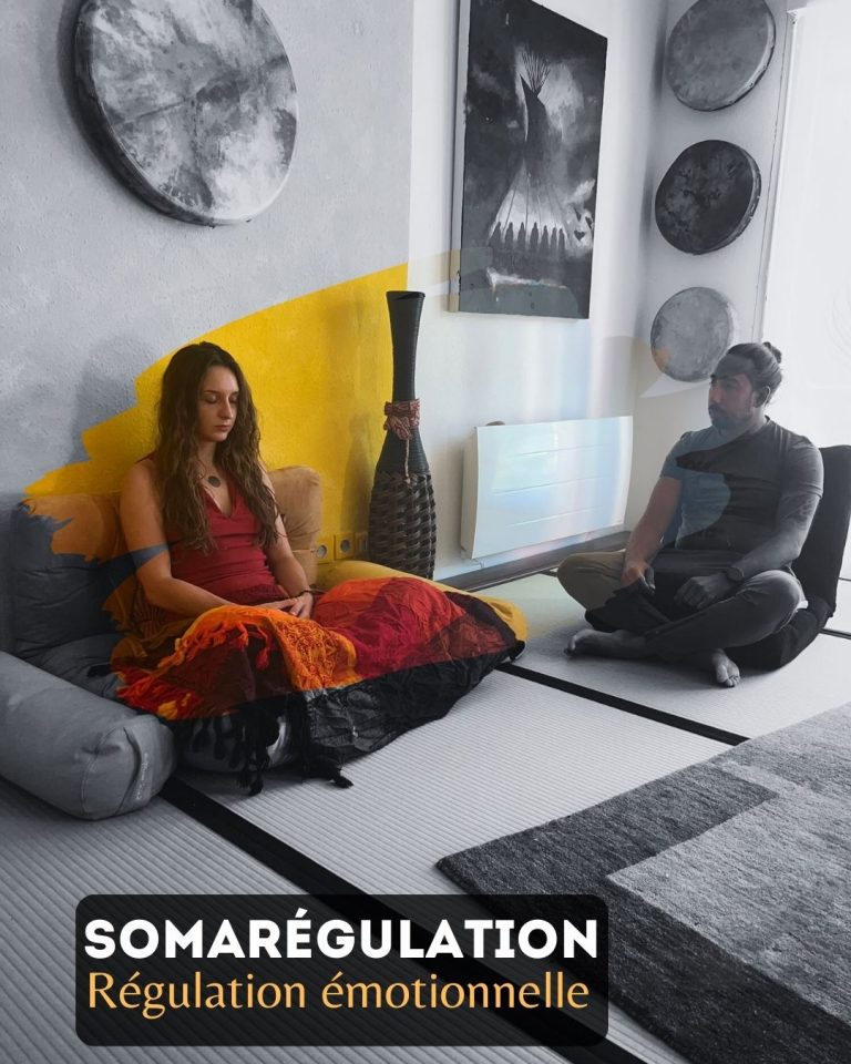 Lire la suite à propos de l’article SomaRégulation : Régulation Émotionnelle