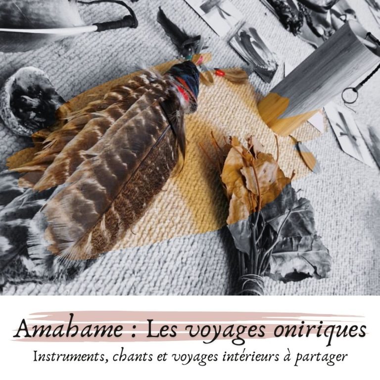 Lire la suite à propos de l’article Les Voyages Oniriques d&rsquo;Amahame